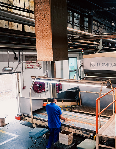 Tobacco Processing