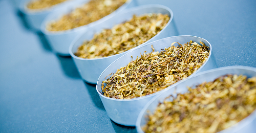Tobacco Processing